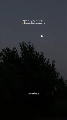 تێگەشتی؟ #foryou #fyp #foryoupage #4u #tiktokindia #a #actives? #test #photo #rasty_lak #kurdi #kurdishgirl #kurdistan🇹🇯️ #kurdistan #edit #ترندات_تيك_توك #شعب_الصيني_ماله_حل😂😂 #الهم_صلي_على_محمد_وأل_محمد #دهوك_زاخو_سليماني_ئاكري_ئامیدی_هولیر #farsi #petsian #moon #مانگ @TikTok @ماریناٰ'🦢 