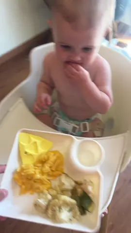 The chipi is a beginning stage to start your baby on forks and spoons! #babyledweaning 