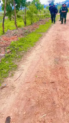 #xuhuongtiktok #bodoi 