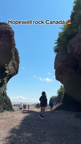 Canada is so beautiful 😍😍#hopewellrock #canada #vacation 