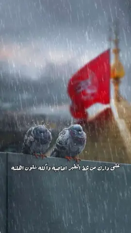 مرتضى حرب/ يالماشي لبعيد#لايوم_كيومك_ياابا_عبدالله_الحسين🏴💔 #السلام_عليك_يااباعبد_الله_الحسين #ياحسين💔 #ياحسين_ياشهيد_كربلاء #ياعلي_مولا_عَلَيہِ_السّلام #ياعلي_مدد #يازهراء_اغيثينا #الامام #علي 