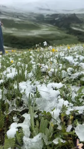 Phong cảnh yên bình #xuhuong #douyin #foryou #fyp #viral #xhtiktok #scenery #thiennhien #natural #flower #thugian #chill #canhdep 