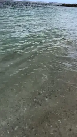 Tandai turun mana🤣🤣#pubg #pubgvibes2019 #comeback #games 