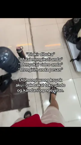 Ngeyel sih #fypp #hariini #jowostory #xyzbca #xzybcaシ 
