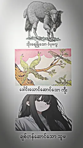 #ချစ်ဟန်ဆောင်သောသူမ🥹☺️#crd . . . #ရောက်ချင်တဲ့နေရာရောက် #မင်းတို့ပေးမှ❤ရမဲ့သူပါကွာ #fypppppppppppppppppppppp #foryou 