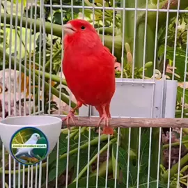Alguém aí curte?  siga 