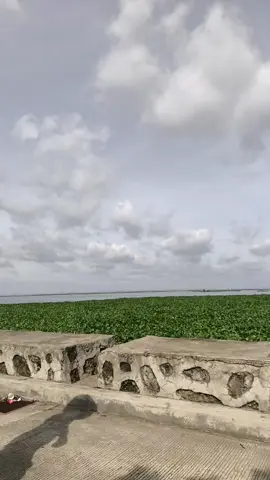 Intrusive thoughts win! #fypシ #fyp #kyt #foryoupage #fypシ゚viral 