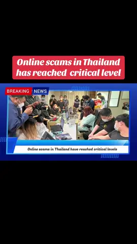 #scaminthailand 