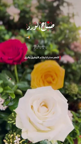 أصبحنا وأصبح الملك لله والحمدلله لا إله إلا الله وحده لا شريك له، له الملك وله الحمد وهو على كل شيء قدير … #صباح_الخير #صباح #دعاء 