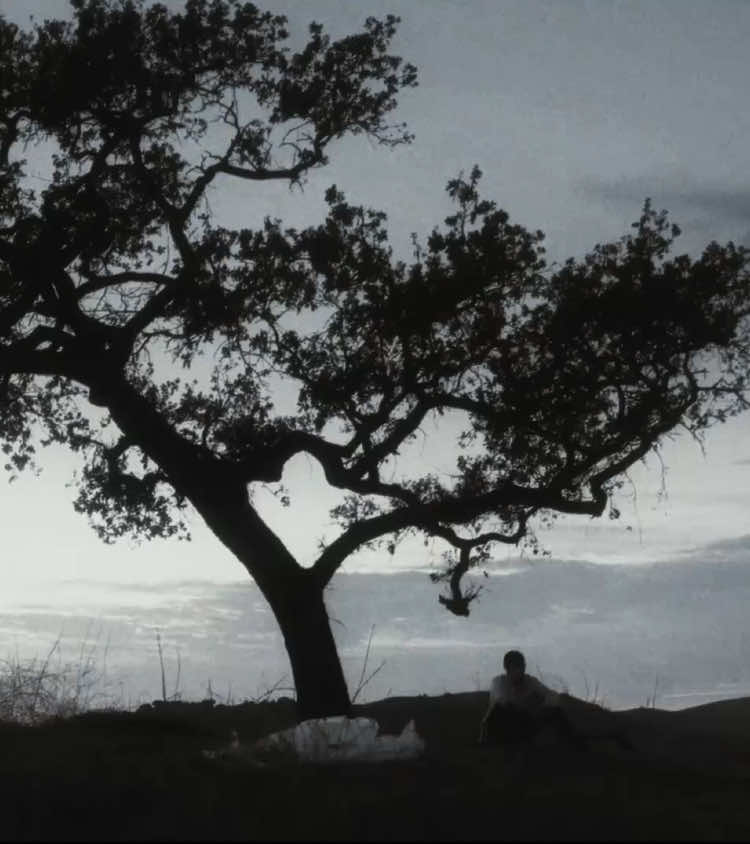 Nate fisher my favorite character in television history #natefisher #sixfeetunder #sixfeetunderedit #sfu #vsp #natefisheredit #peterkrause 