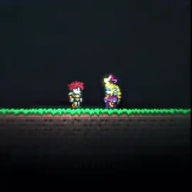 The story of solyn has moved countless Terraria Calamity players.  #terraria #calamity 