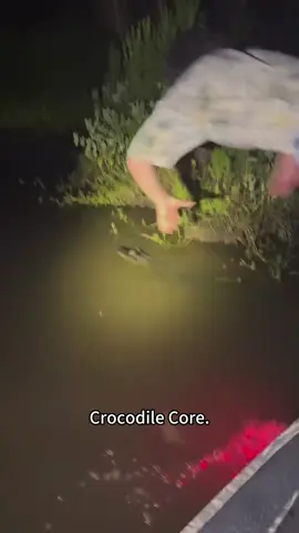 Crocodile core.🐊🐊🤣#funnyvideos #foryou #animals #funnytiktok #cute #fyp #core #crocodile #fypシ 