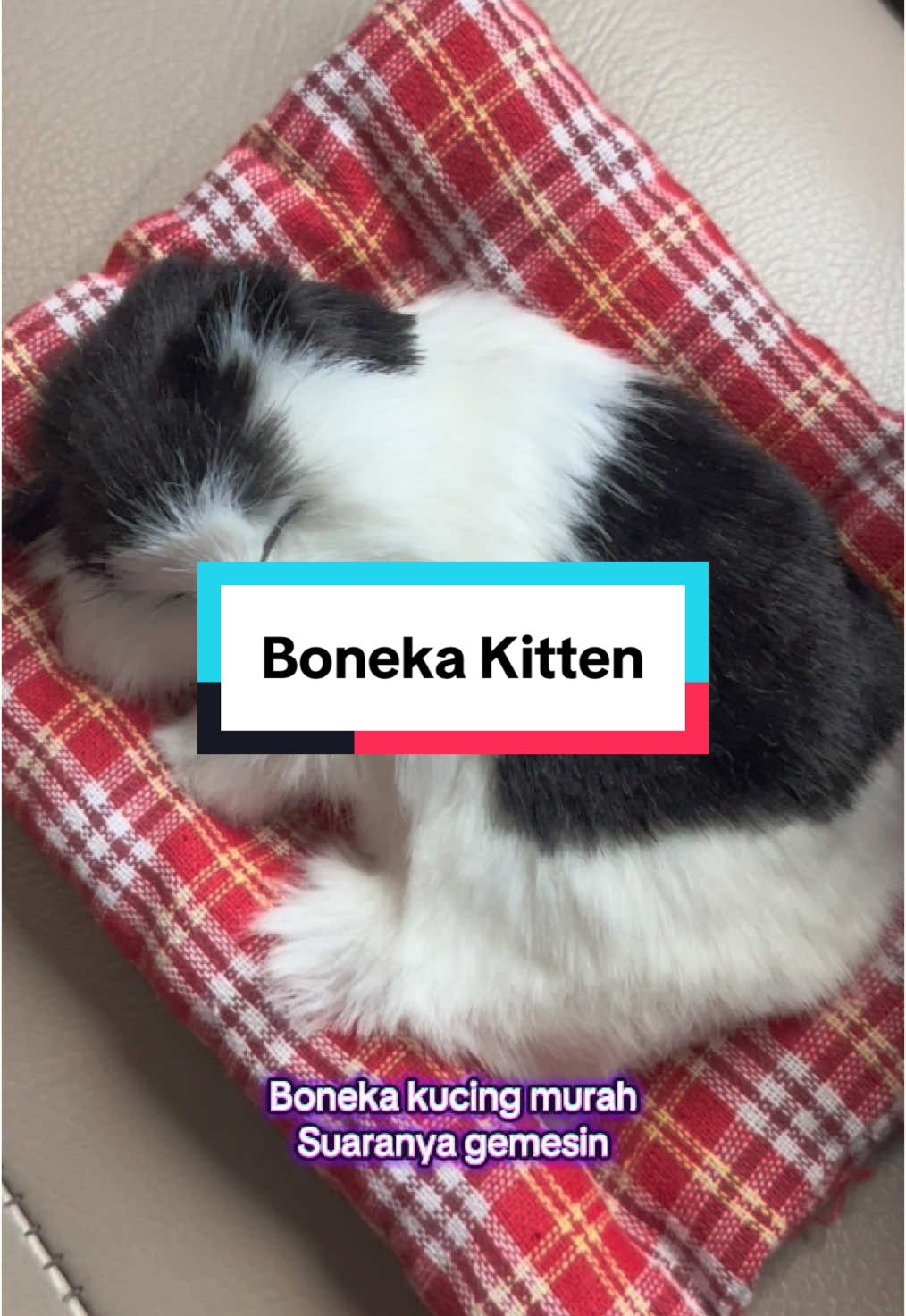 Gemesh banget #catlover #kucing #boneka #bonekaviral #bonekalucu #bonekakucing 