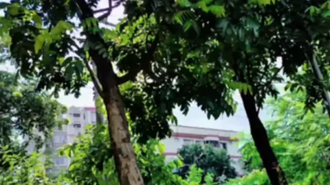 তোমারে ছিল স্বপ্নের পাওয়াটা ছিল ভাগ্যের দেখো আজ ভাগ্যের কি পরিহাস আজ তুমি হলে অন্যের Tik Tok sad video for you viral video 🙏💔🙏