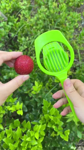 Can it cut lychees?#cut #lychess #asmr #oddlysatisfying #fruits #fruits #fyp #viral 