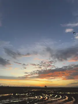 sao phải khóc? #xuhuongtiktok #chill #fypシ゚ #buon #sunset 