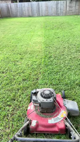 I don’t want to mow this grass.. I wanna go to the lake!! #chores #lakelife #summertime #fyp