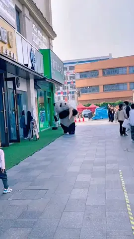 #funnyvideos #funny #funnyanimals #comedyvideo #comdy #lucu #fy #fypシ #foryou #xuhuong 