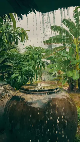 🌧️#mưabuồn #thíchquê #cảnhquee❤️ #chillwithtiktok #xuhuongtiktok #trending #tiktok #tiktok 