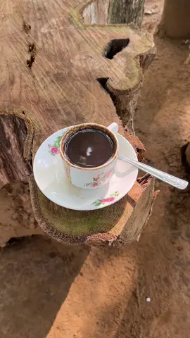 Senin produktif #kopipagi #kopiinspirasi #kopidangdut #beranda #bojonegoro #fypシ 