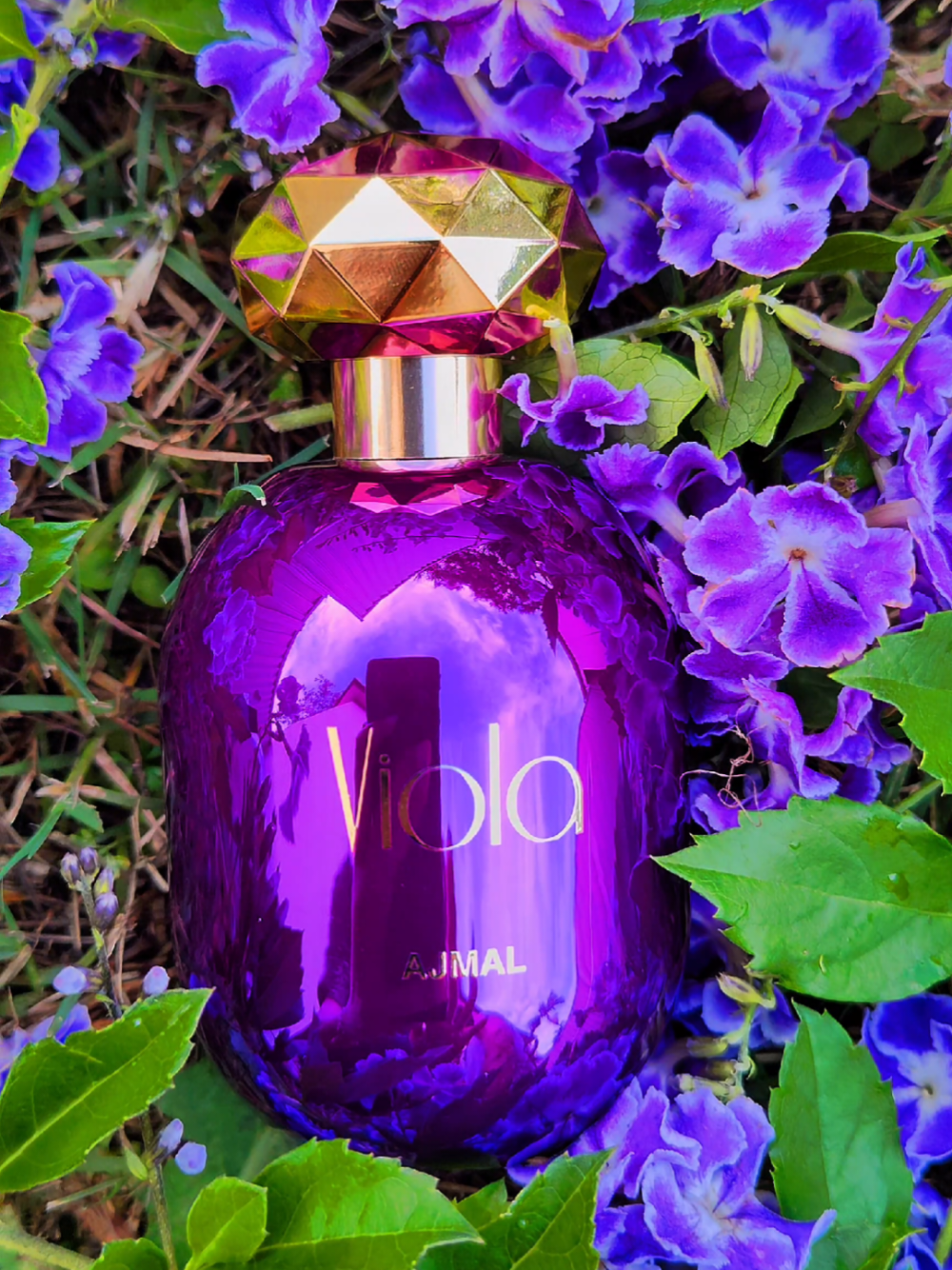 🍇💜 𝗔 𝗯𝗹𝗮𝗰𝗸𝗰𝘂𝗿𝗿𝗮𝗻𝘁 𝗳𝗹𝗼𝗿𝗮𝗹 𝗯𝗹𝗼𝗼𝗺 — 𝗔𝗷𝗺𝗮𝗹 𝗩𝗶𝗼𝗹𝗮 On the first spritz, Viola truly caught me off guard — a bright burst of blackcurrant and citrus, lightly dusted with sugar and a subtle hint of spice. It’s juicy, slightly fizzy… like a berry candy mist, but never too sweet. Then the heart unfolds — jasmine, rose, and lily-of-the-valley blending into a soft, powdery floral hug. As it dries down, you get a cozy base of vanilla, patchouli, and cedarwood, adding just the right touch of warmth and depth. ✨ Notes: Top – Blackcurrant, Bergamot, Spicy Notes Heart – Jasmine, Rose, Lily-of-the-Valley Base – Vanilla, Patchouli, Cedarwood ⏳ Longevity: 6+ hours 📏 Projection: About 2 ft 💨 Sillage: Soft, airy floral trail ⭐My Take: 3/5  💜 If you’re into soft fruity-florals with a sweet, creamy drydown —  Viola @Ajmal Perfumes is definitely worth a spritz. Have you ever tried Ajmal Viola? Or do you like perfumes with fruity openings and soft floral hearts? Let me know below! 🥰 #ajmalperfumes #viola #frangrance #perfumes #perfumetiktok #scentoftheday #perfume #middleeastern #fragrancereview 