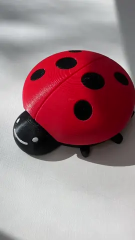 here’s a lady bug for you! 