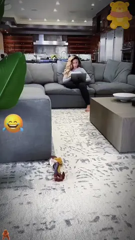 Scare prank🤣🤣#scared #scarecam #scareprank #prank #virral #trending #fun #funnyvideo #foryoupage #fyp