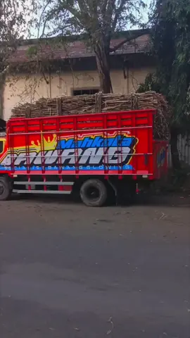 Umume wonk lanang tangi turu #fyp #fouryoupage #xyzbca #setrywa 