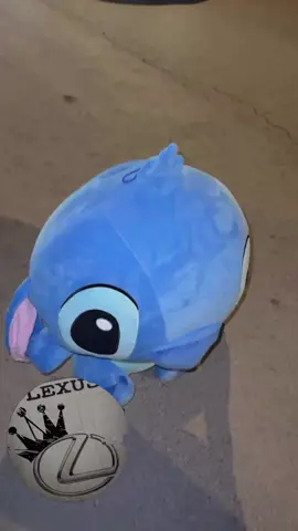 SN:yo-hz🐰#is #es #explore #ماشاءالله_تبارك_الله_اذكروا_الله #foryoupage #fyp #عشوائيات #لكزس #معاكم_بالترند #اعادة_النشر🔃 #😜😜😜😜😜 