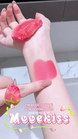 🎀 ▸ 