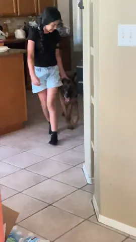 How my dog sounds when my little cousin comes over @PetSmart  #dog #balto #dogtiktok #fyp #viral #fun #Summer #doggy #babydog