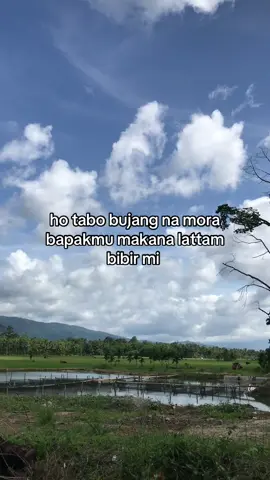 #fyp #fypシ #fypシ゚viral🖤tiktok #fypシ゚viral #fyppppppppppppppppppppppp #fypdongggggggg #fyppp #lagubatak #bataktiktok #katakatamotivasi 