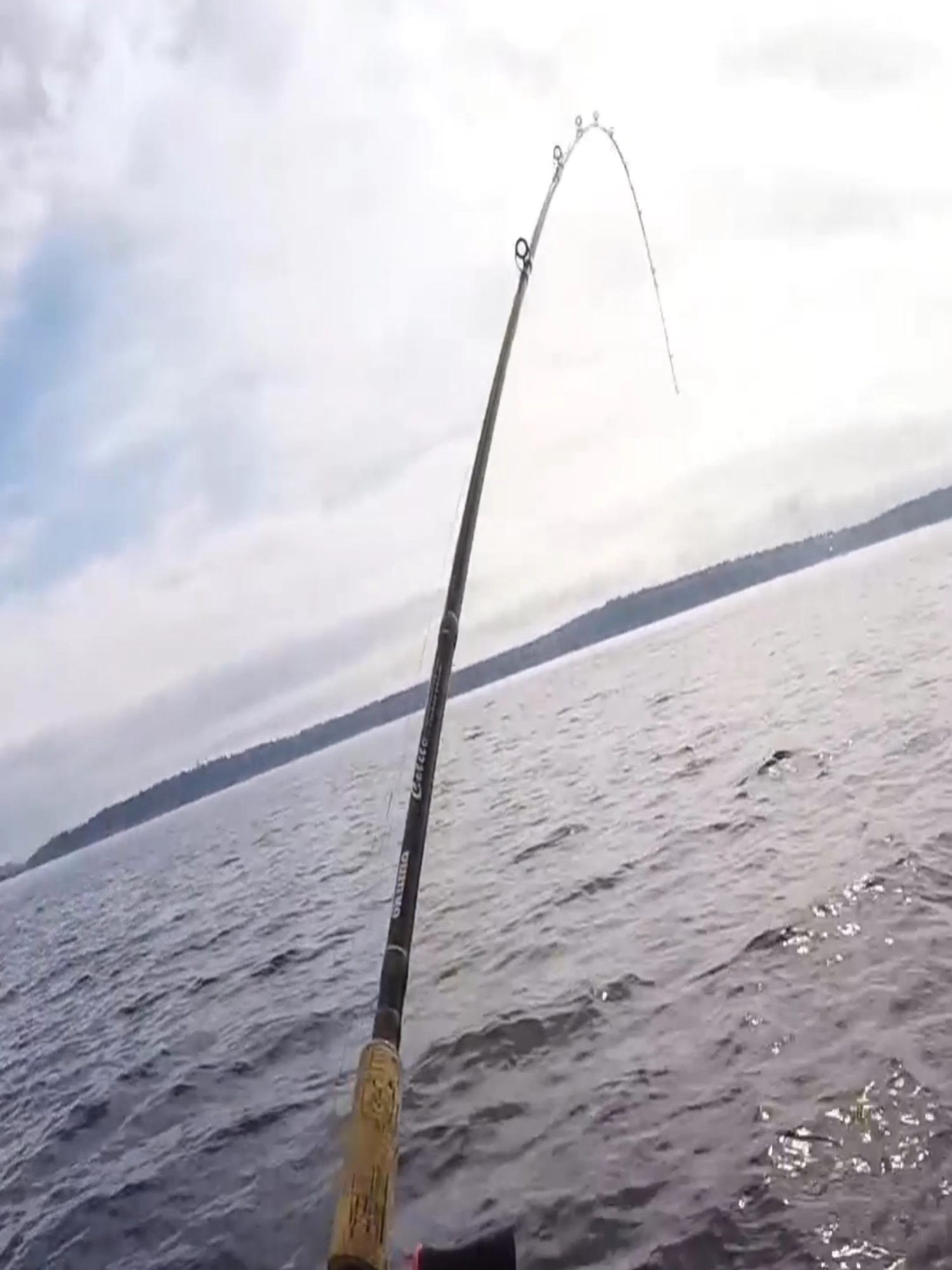 #fishing #fishingtips #fishingsecretsnw #foryour