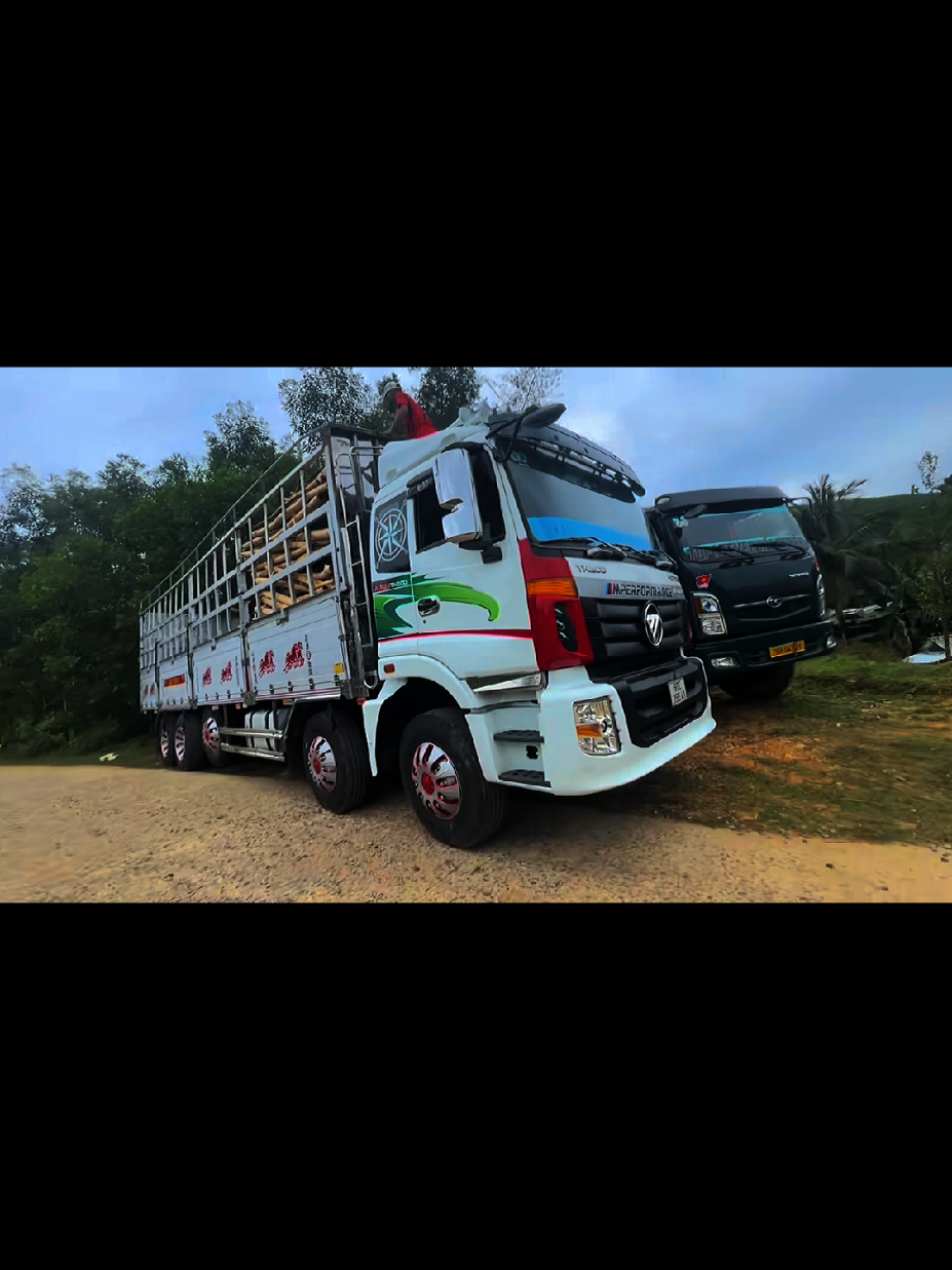 Trả lời @nguyenhoaidanh6 ko có howo chỉ có thaco AUMAN thôi nha #xe_keo_đèo_đinh #songiang_sonha #quangngai #🇻🇳văn_nghĩa_ok🇻🇳 #🇻🇳Nghĩa_vẽ_xekeo🇻🇳 #van_nghia_df #47daklak #74quangtri #75huế #76quangngai #77binhdinh #78phuyen #81gialai #82kontum #92quangnam #xuhuong #fyp #viral #xuhuong2025 