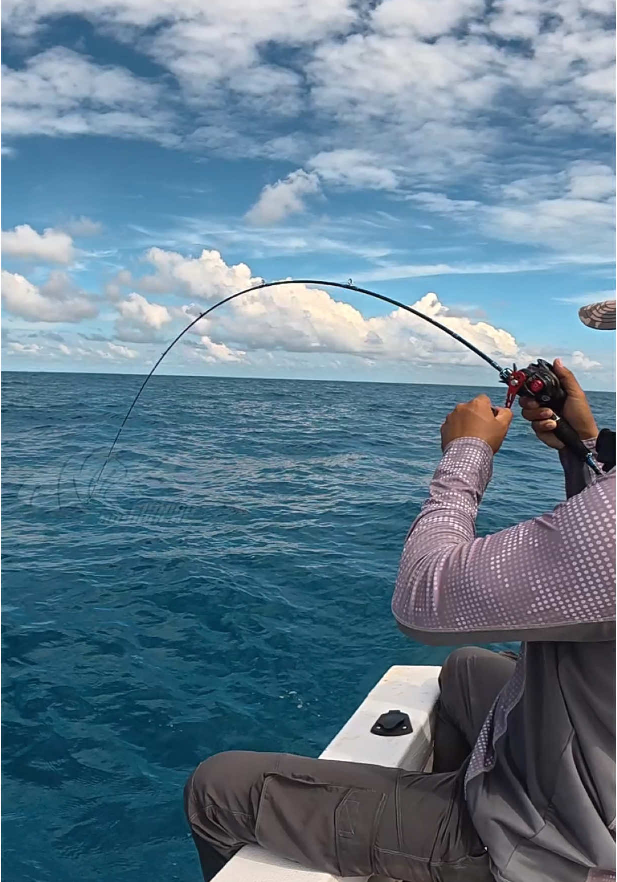 Tenggiri apes , mlah kena badan pancingnya #fishing #mancing #jigging 