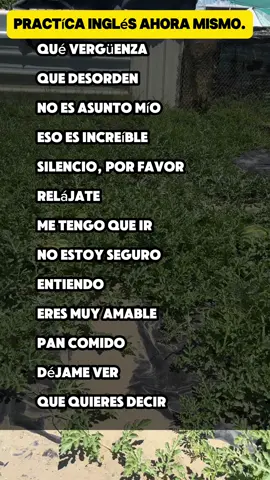 #fraseseningles #inglesgringo #clasesdeingles 