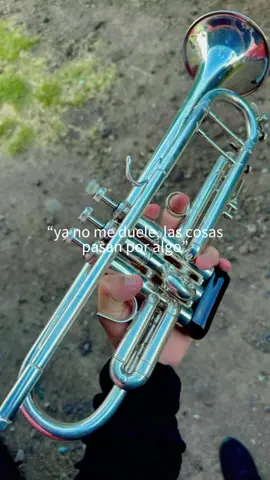 #CapCut #enamoradodelamusica #Motivacional #musica #trompeta #musicos 