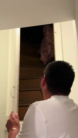 I thought my circuit breaker was there, but we found a portal to hell instead #hauntedhouse #oldhome #funny #conspiracytiktok #ghoststories #historic 