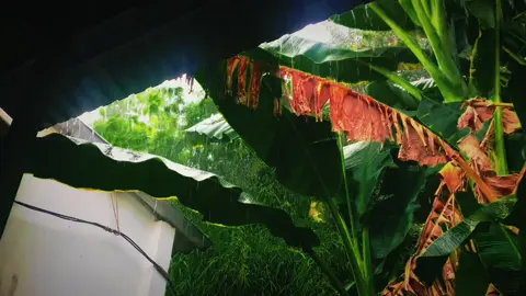 Mưa sau hè #xuhuong #fyp #chill #tamtrang #mua