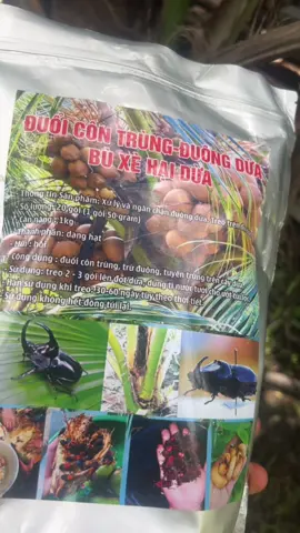 Trị đuông dừa 🌴 bảo vệ vườn dừa cho bà con#triduongdua 