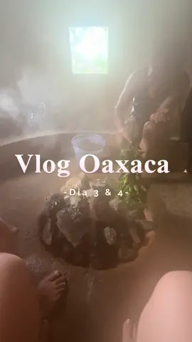 Dia 3-4 Vlog Oaxaca #creatorsearchinsights #Vlog #vacaciones #oaxaca #sanjosedelpacifico #cabañas 