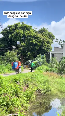 Ruộng có nhiu đó nước mà cũng k tha :)))#xuhuong #shiper 