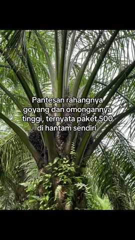 #fyppppppppppppppppppppppp #katastorywa #katabijak #rojamaulana27 