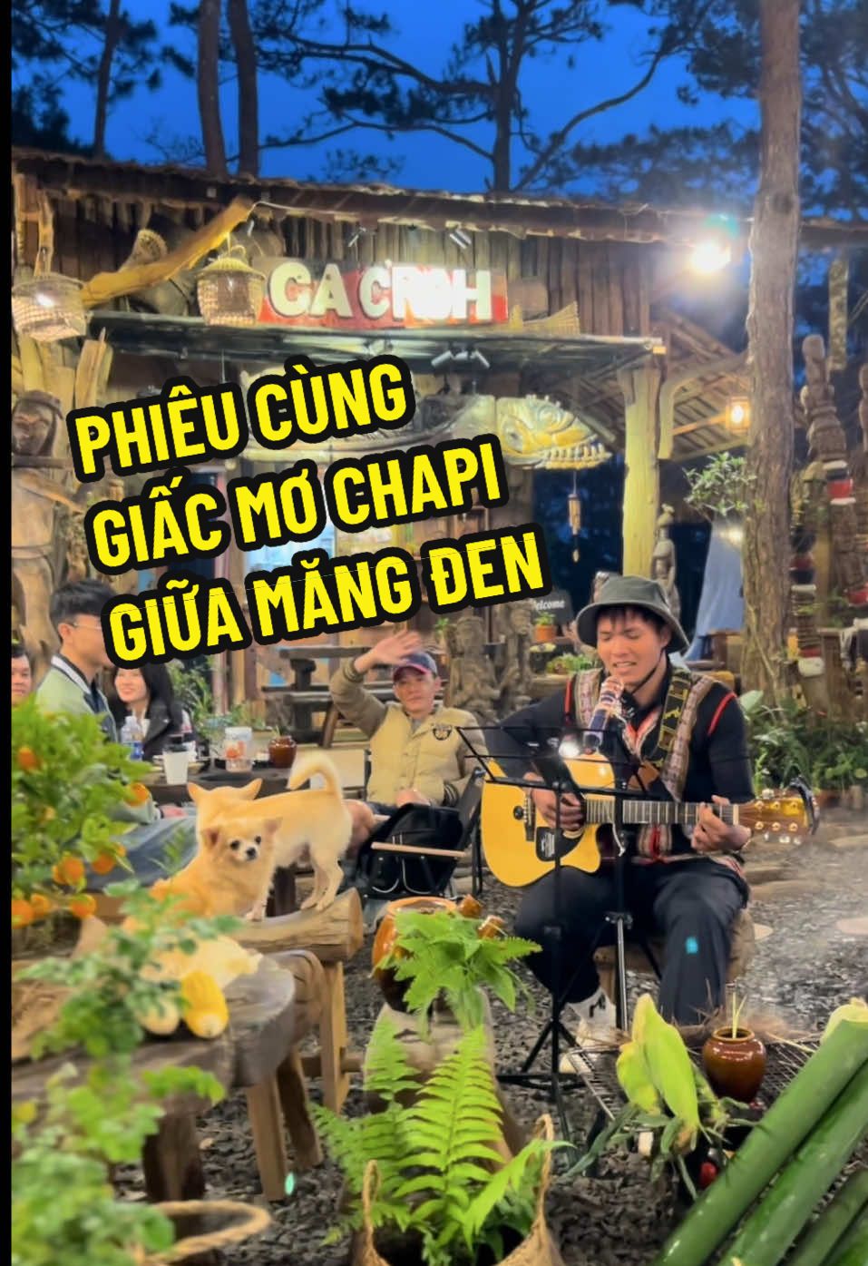Không gì bằng thả hồn lãng mạn giữa rừng thông Măng Đen lắng nghe A Tâm Lang hát bài tình ca xứ đại ngàn bên bếp lửa hồng Nhà Ca C'roh. 💚 Tag người bạn sẽ cùng lang thang đến Nhà Ca C’roh nào! #cacroh #reviewmangden #fyp #kontum #mangden #vietnam #music 