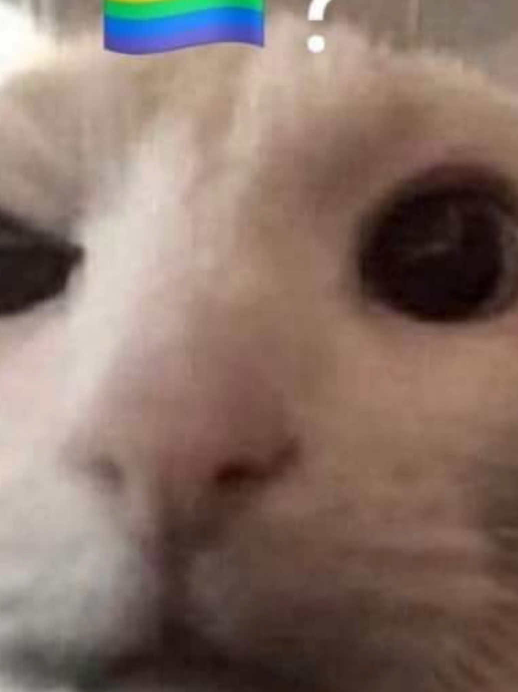 si te haces furro dejas de ser heterosexual? #humor #furry #furryfandom #furrytiktok #lgbt 