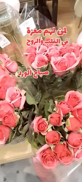 #صباحيات #الشعب_الصيني_ماله_حل😂😂 