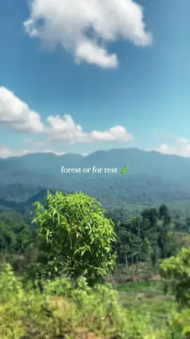 for rest 