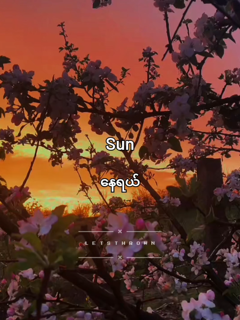 we listen and we don't judge.... #fypシ #quotes #Love #letsthrown #edit #vibes #foryoupage❤️❤️ 