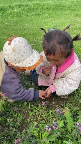 All Memories of my childhood is about picking up the berries from the land with my sister.#bestchinesevideos 