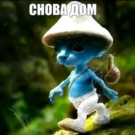 #сновадомвсетотжедом #2023 #2022 #2021 #шайлушай #сигма #гигачад #носок #каша #кашапрайм #кашавпрайме #хочуврекомендации #рек #fyo #fyp #fyr 